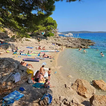 Daire Sea And Pine *